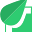 leafecodes.com