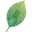 leaftronix.com