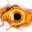 leewardgraphics.com