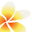 lei-luana.com