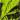 lemontechnologies.net