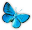 lepapillonbleu.fr