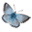 lepiforum.org