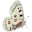 leptiri.net