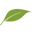 lepurorganics.com
