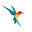 letscollect.com