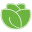 lettuce.io