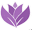 lfainternational.com