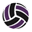 lhvavolleyball.com