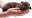 life-is-life-kennel.de