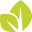 lifepointsc.org