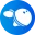 lightbuzz.com