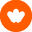 liguecancer.ch