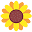 lilicloth.com