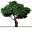 lineagetreecare.com