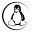 linux.kg