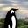 linuxplumbersconf.org