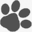 littledogpaperco.com