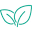liveminty.com