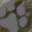 livingwithwolves.org