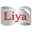 liyatest.com.tr