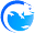 lizarder.com