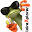 loirexplorer.com