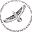 lokahicanoeclub.org