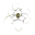 lonepint.com