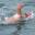 loneswimmer.com