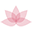 lotusclinic.co.uk