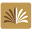 lotusctmri.com