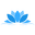 lotusleggings.com
