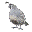 lprg.org