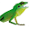 luckyreptile.com