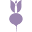 lumiere.cc