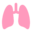 lunginstitute.com