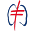 lungu.is