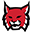 lynxcamps.com