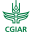 maize.org