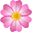 majestyskin.co