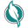 makale.net