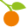 mandarine-sn.com