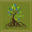 mangrovesforfiji.com