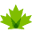 maplereno.com