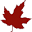 mapleton.com