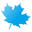 mapleuk.co.uk
