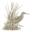 marinaudubon.org