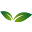 marsonline.pk