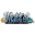 mattscorals.com